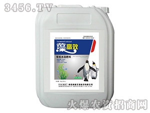 有機水溶肥料-藻高效-瀚普生物