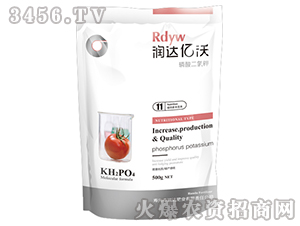 ��������-���_�|��11̖-���_�ʘI(y��)