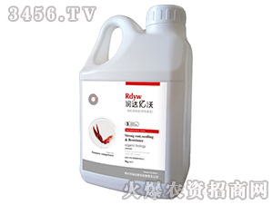 �ЙC(j��)Һ�w��-��(r��n)�_(d��)�|��5̖(h��o)-��(r��n)�_(d��)�ʘI(y��)