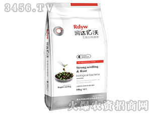 �����������-���_(d��)�|��4̖-���_(d��)�ʘI(y��)