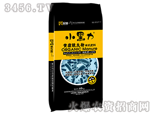 �S���������ЙC(j��)����-С����-�r(n��ng)��һ