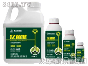 �S����΢�������-�F�컯