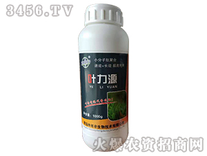 �~��Դ-�����S