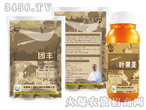 �~�������F�S��-ϣ�����