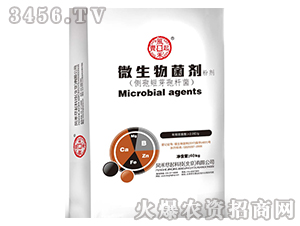 ΢��������ۄ�-�L�̱M��