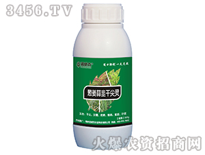 �[�����ǧ���`-�Z����