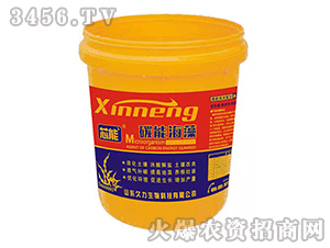 ̼�ܺ����-о��-��������