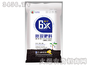 ����6Xͨ����-�������-������