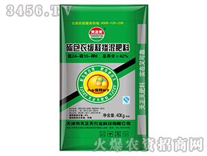 ��ጷ�24-10-8-����¾�ጓ������-������