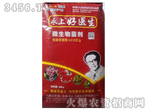 ���Ϻ��t(y��)��-΢�������-����