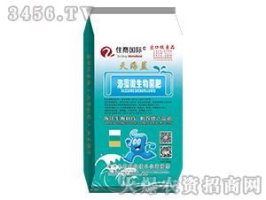 ����΢�������-�캣�{(l��n)-ס�̇�(gu��)�H