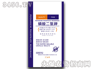 ��������-����