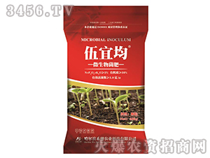 ΢�������-���˾�-�r�󻯹�