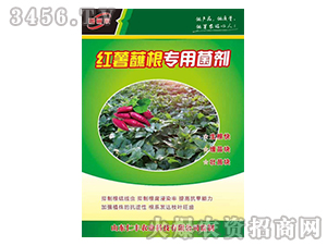 �t��պ�����þ���-���S�r�I(y��)