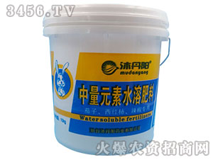 �ѹ���������Ԫ��ˮ�ܷ���-�嵤�