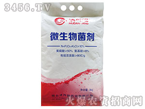 ΢�������-�嵤�