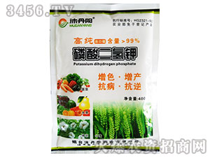 ��������-�嵤�