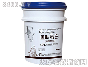 �~�ĵ���[��������]-�Z����