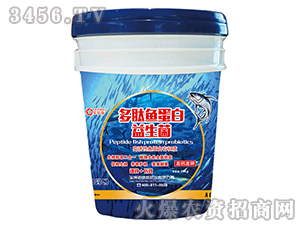 �����~����������-�Z����