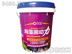 �������(d��ng)��-�Z����