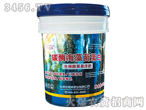 ̼ø���������-�Z����