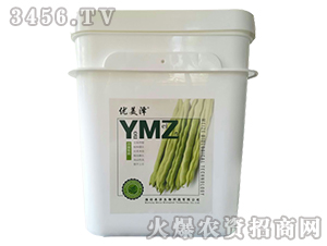 �_ʩ��-��(y��u)����-��������