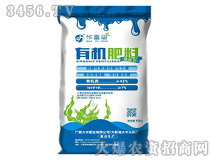 �������ЙC(j��)��-�Aϲ��-���A