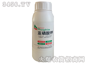 �������-�嵤�