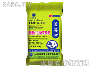 ø���������ЙC(j��)��-���ϸ�