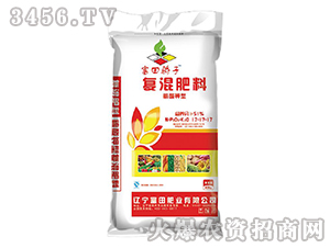 ������͏�(f��)�����17-17-17-�������-����ʘI(y��)