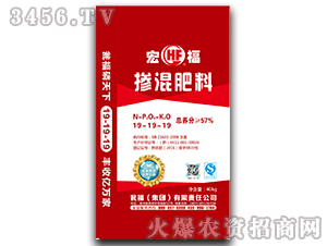 �ߝ�ȓ����19-19-19-�긣-�Y�����F