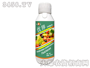 ��(y��u)�-���S����