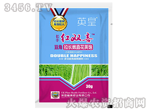 �������L(zh��ng)��ֱ��Ӣ�-�t�pϲ-�L(zh��ng)�S