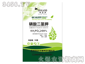 ��������-���{(l��n)��