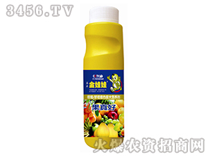 ����Ě����ɫ���I(y��ng)�B(y��ng)��-������-�L(zh��ng)�S