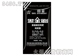 ��ֲ���ጷ�19-10-19-�ڽ���-�ϑ�(zh��n)��