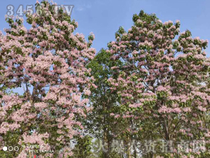 2020��鱘�ӆ�λ����Ŀ15