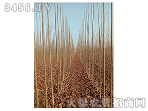 2020��鱘�(sh��)ӆ�λ����(xi��ng)Ŀ16