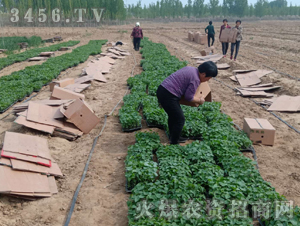 2020��鱘�(sh��)ӆ�λ����(xi��ng)Ŀ8