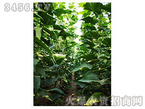 2020��鱘�(sh��)ӆ�λ����(xi��ng)Ŀ6