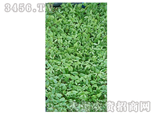 2020��鱘�ӆ�λ����(xi��ng)Ŀ5