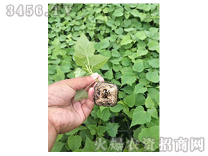 2020��鱘�ӆ�λ����(xi��ng)Ŀ3