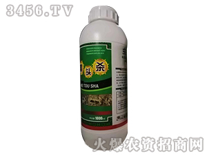 21%�x����Ҹ���-���^��-�W�ρ�