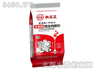 ȫˮ��΢����������t����-�S���ᡤ⛄�(d��ng)��-�ʌ���