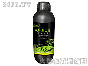 ���~����Դ-�Z����