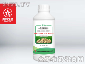 ����������-�ȿ�֮��