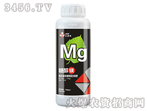 �ЙCҺ�w�Ǵ������V��-�Ǵ��V-�R���S