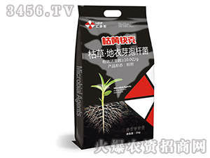 �ݲݡ�����ѿ�ߗU��-���S���-�R���S