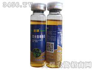 �ɹ�نΰ���-�ٷf-�Z������