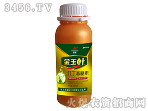 ���ɻ���-�����~